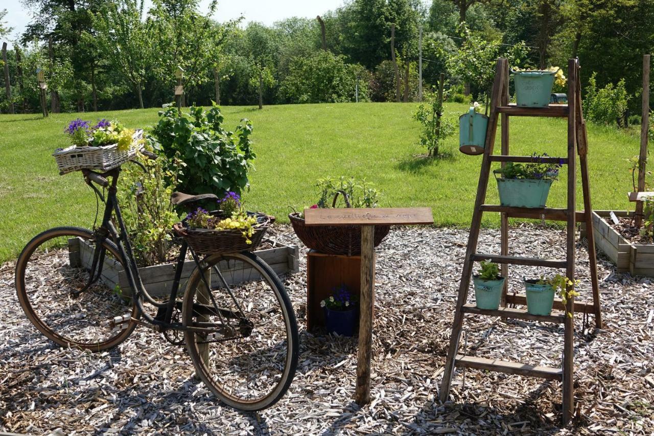 Le Manoir Des Aromes Hotel Brugny-Vaudancourt Exterior foto